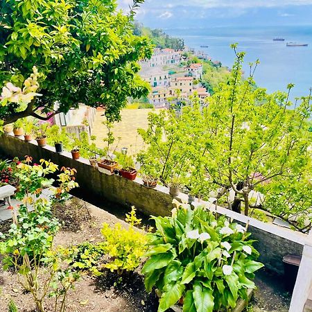 Borgo Virginia - Sea View In Amalfi Coast Apartment Vietri Exterior foto