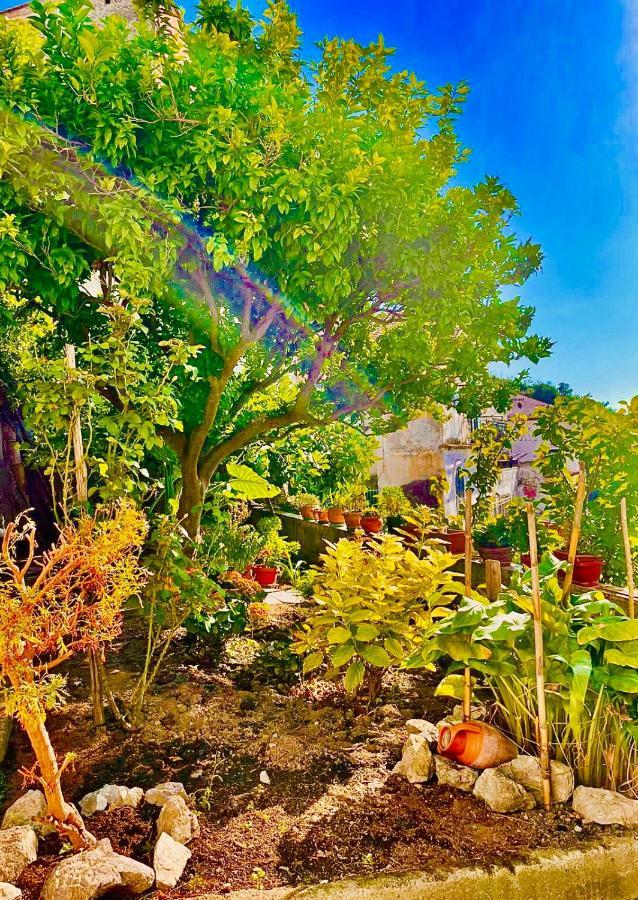 Borgo Virginia - Sea View In Amalfi Coast Apartment Vietri Exterior foto