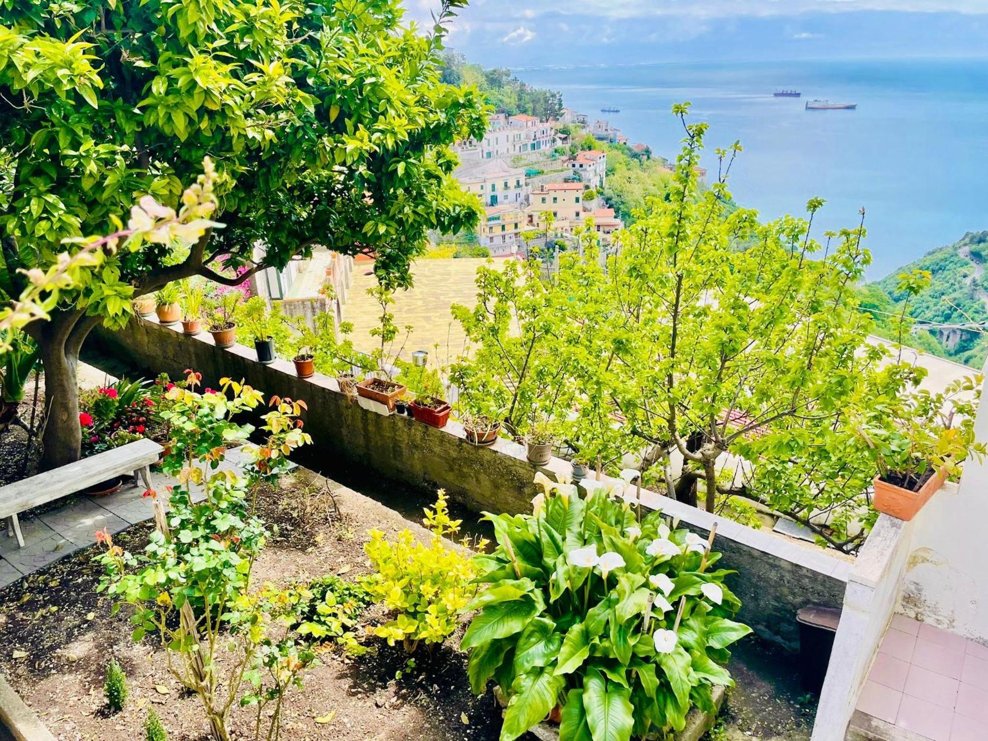 Borgo Virginia - Sea View In Amalfi Coast Apartment Vietri Exterior foto