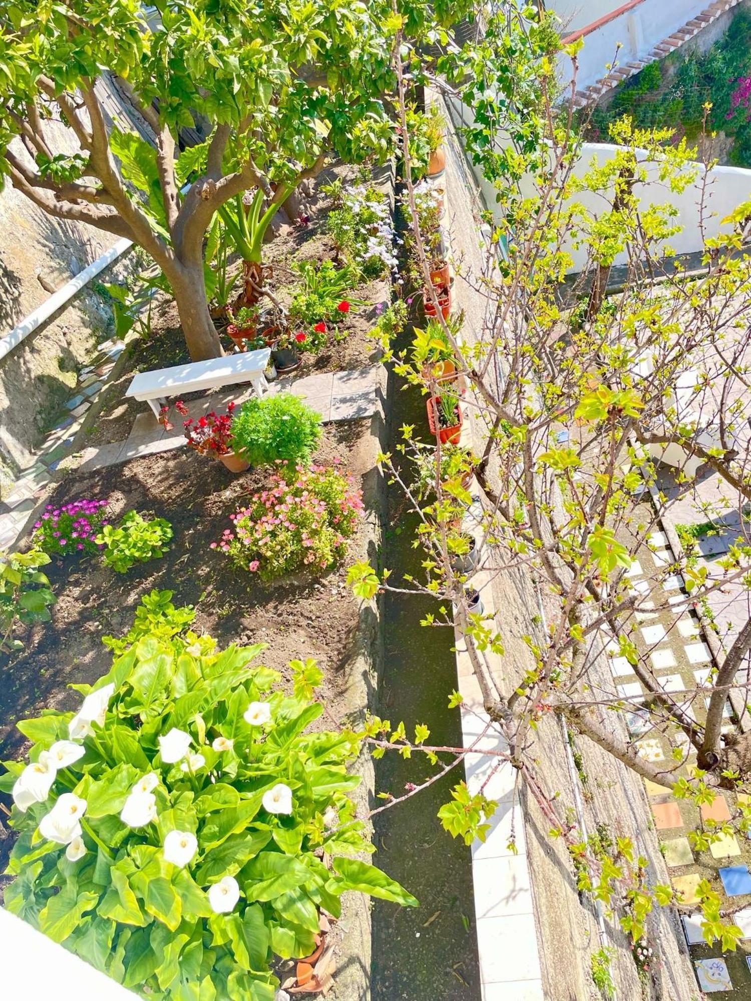 Borgo Virginia - Sea View In Amalfi Coast Apartment Vietri Exterior foto